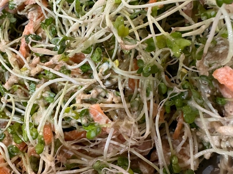 スプラウトのツナサラダ